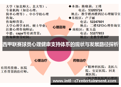 西甲联赛球员心理健康支持体系的现状与发展路径探析
