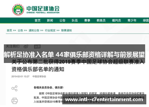 解析足协准入名单 44家俱乐部资格详解与前景展望