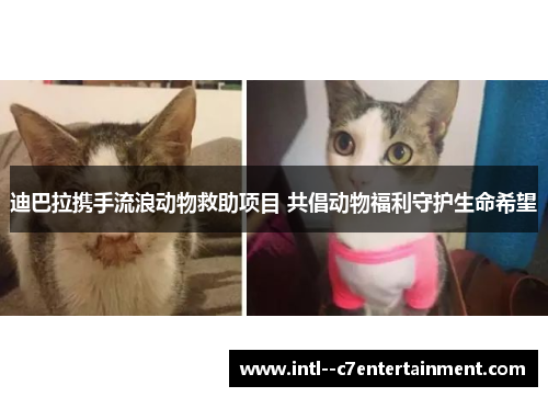 迪巴拉携手流浪动物救助项目 共倡动物福利守护生命希望