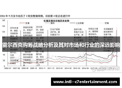 雷尔西克购筹战略分析及其对市场和行业的深远影响