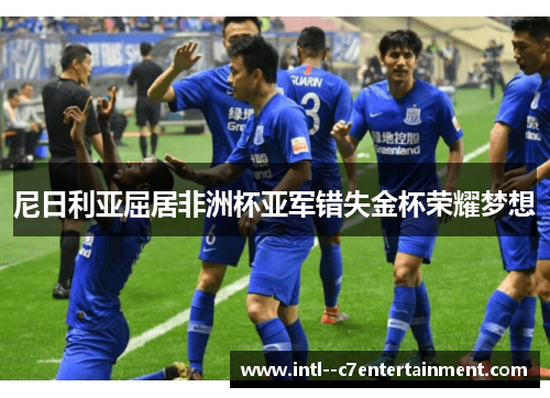 尼日利亚屈居非洲杯亚军错失金杯荣耀梦想